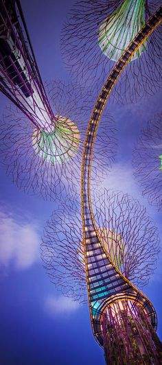 Supertrees in Gardens by the Bay, Projekt: Grand Associates, Gustafson Poter, Singapur