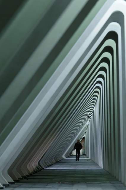 Liège Guillemins Railway Station, Projekt: Santiago Calatrava, Belgia