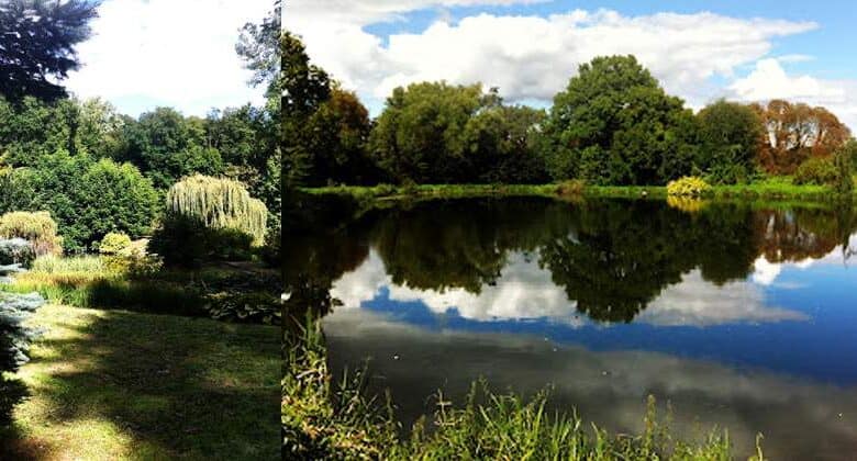Spokojny park z jeziorem i zielonymi drzewami, idealny na relaks i spacery, otoczenie natury, polska przyroda, relaks wśród przyrody, miejsce na wypoczynek na łonie natury.
