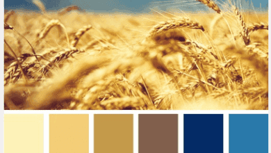 Zboże na polu podczas słonecznego dnia, symbol plonów i rolnictwa, w kolorach ziemi i złota, odwołujące się do naturalnych procesów rolniczych i optymalizacji upraw.