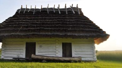 Drewniany dom z thaty na wsi, tradycyjna chatka z konstrukcji słomianej, wiejska chatka na terenach wiejskich, odrestaurowany tradycyjny dom wiejski, dom z naturalnych materiałów w otoczeniu zieleni.