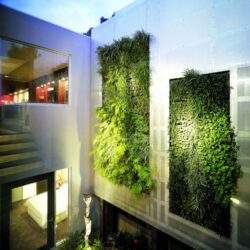 Polecany ogrodowy zielony ściany, żywy zielony komfort w nowoczesnej przestrzeni.