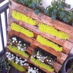 Kolorowa dekoracja z drewnianych palet z kwiatami i zielonymi roślinami na balkon, idealna do ogrodu lub tarasu, naturalna i ekologiczna, ozdoba wnętrz i przestrzeni na zewnątrz, inspiracja na DIY.