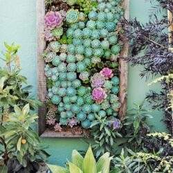 Klimatyczna dekoracja z kwiatów i roślin, idealna do ogrodu i balkonów, tworzy naturalną i relaksującą przestrzeń, wpisująca się w trendy ogrodowe i florystyczne.