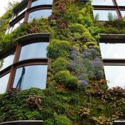 Zielony facjat budynku z roślinami na elewacji, nowoczesny design, ekologia w architekturze, ekologiczne rozwiązania dla budynków, rooftop greenery, zrównoważony rozwój.