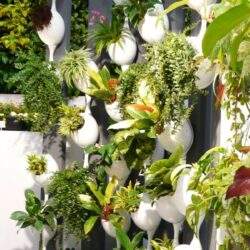 Wyszukany zielony ogród wertykalny z roślinami doniczkowymi w białych wiszących pojemnikach, nowoczesny design, idealny do biur i wnętrz, ozdoba ścienna, rośliny oczyszczające powietrze.