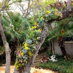 Kolorowe kwiaty na pniach drzew w ogrodzie, dekoracja zieleni i roślin ozdobnych, kwiaty doniczkowe i aranżacja roślin, idealne do ogrodu, w tym sezonie.