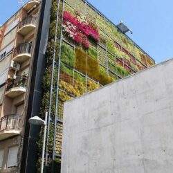 Zielony ścienny ogród na fasadzie nowoczesnego budynku, instalacja zielonych roślin na elewacji, ekologiczne rozwiązanie w architekturze miejskiej, promujące zrównoważony rozwój, optima.