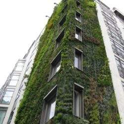 Zielona elewacja nowoczesnego budynku z roślinnością na fasadzie, ekologiczne rozwiązanie dla zrównoważonego rozwoju.