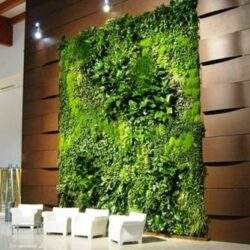Zielona ściana z prawdziwych roślin, dekoracja biura i przestrzeni komercyjnych, poprawiająca jakość powietrza oraz wprowadzająca naturalny klimat do wnętrz.