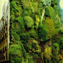 Roślinna ściana z bujną zielenią na budynku w mieście.