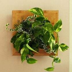 Rośliny doniczkowe na ścianie, dekoracja wnętrza z zielonymi roślinami w drewnianym tle, elegancka i naturalna ozdoba przestrzeni.