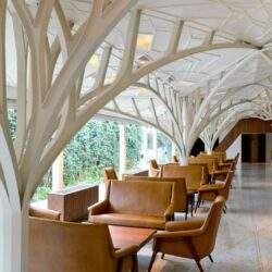 Eleganckie wnętrze z unikalnymi strukturami drzewa, komfortowe fotele i naturalne światło, idealne do relaksu i spotkań biznesowych w nowoczesnym biurze.