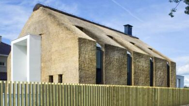 Unikalny dom z naturalnym stropem w otoczeniu zielonego ogrodu, nowoczesna architektura i ekologiczne rozwiązania w budownictwie.