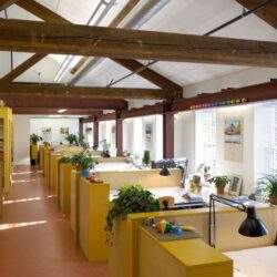 Przedstawienie nowoczesnego, jasnego biura z naturalnym światłem, roślinami i ergonomicznymi stanowiskami pracy, idealne dla firm szukających inspirującego środowiska pracy.