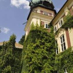 Tak, budynek z wieżą, otoczony bujną zielenią i ivy, zabytkowa architektura, wieża z kopułą, historia i urok, Grzegorz PaniDyrektor.pl, wizytówka optymalnego rozwoju i sukcesu przedsiębiorstw, elegancka i inspirująca przestrzeń dla liderów biznesu.