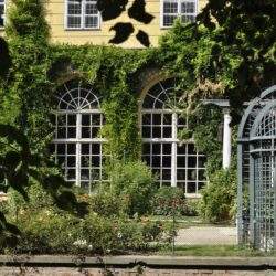 Przydomowy ogród z architekturą zieloną, okna od strony ogrodu, ozdobny gazon, rośliny pnące na fasadzie, balkon, przestrzeń relaksacyjna, zielony taras, sekcja stosowania roślin, aranżacja ogrodu, inspiracje ogrodowe, właścicielka ogrodu opieka optima.