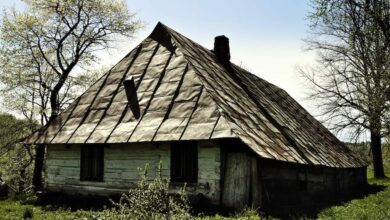 Stara chata drewniana z metalowym dachem na tle drzew, wiekowa konstrukcja w wiejskim otoczeniu, idealna dla miłośników historii i natury.