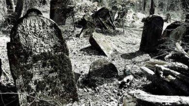 Nagrobki na cmentarzu w lesie, stare i zniszczone pomniki, zaniedbane miejsce pogrzebowe, zdjęcie w szarych tonach, symbolizujące przemijanie i pamięć o zmarłych.