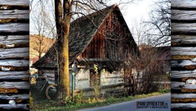 Stara chatka drewniana na wsi, elementy architektury wiejskiej, rustykalne budownictwo, dom wiejski w otoczeniu drzew, tradycyjna konstrukcja, zniszczona i zaniedbana chatka, wiejska architektura, element krajobrazu wiejskiego, oryginalne rzemiosło, naturalne materiały, malownicza sceneria, polska wiejska fotografia, architektura ludowa, wiejski domek, historia budownictwa drewnianego.