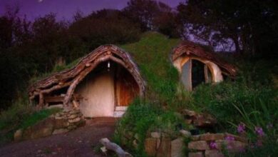 Przytulny dom hobbitowski z trawiastym dachem w otoczeniu natury, nocne niebo z księżycem, magiczna atmosfera, eco domy, architecture in harmony with nature, ekologiczne budownictwo, bliskość natury.