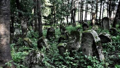 Nagrobki w starym cmentarzu w lesie, naturalne otoczenie, kamienne pomniki, historyczne miejsce, spokojna atmosfera, pomnikowe nagrobki wśród drzew, miejsce pamięci, historyczne dziedzictwo.