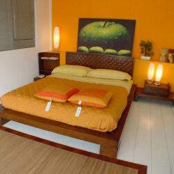 Przedpokój w stylu nowoczesnym z łóżkiem i minimalistycznym wystrojem.