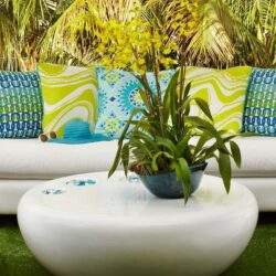 Zielona roślina w czarnym doniczce na białym stoliku, za nią kolorowe poduszki na kanapie w ogrodzie, tropikalne palmy w tle, idealne do relaksu i aranżacji przestrzeni na stronie PaniDyrektor.pl.
