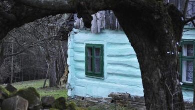 Stary drewniany dom z zielonymi okiennicami na tle natury i drzew, odzwierciedlenie tradycyjnej architektury wiejskiej, idealny na filmowe scenerie i odrestaurowanie wiejskich chat.