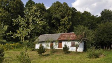 Stara, malownicza chatka wśród zieleni, idealna dla miłośników natury i spokoju, z rustykalnym dachem oraz ogrodem, otoczona lasem i łąkami, stanowi urokliwe miejsce na wypoczynek na łonie natury.