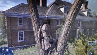 Aktywna edukacja w zakresie bezpieczeństwa i odporności drzew, edukacyjne warsztaty dla dzieci i dorosłych, praktyczne szkolenia na temat ochrony i pielęgnacji drzew w otoczeniu domu i ogrodu.