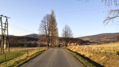 Przyjazna wiejska droga w otoczeniu natury i pofalowanych wzgórz, idealna dla mieszkańców i rowerzystów, w promieniach jesiennego słońca, z domami i drzewami w tle.