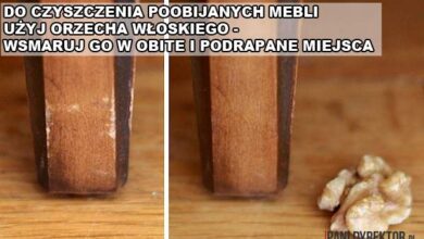 Usuwanie zabrudzonych miejsc z mebli drewnianych metodą orzecha włoskiego, olejowania powierzchni, czyszczenia i konserwacji drewna.