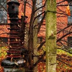 Przyłącze energetyczne wzdłuż drzew i muru ceglanego, instalacja naziemna, jesienna sceneria.