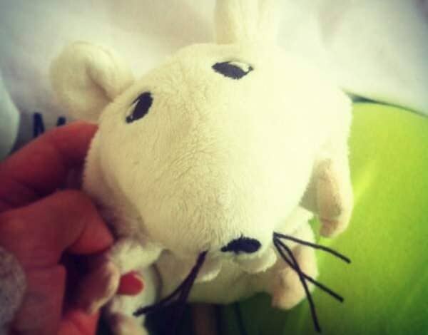 Myszka plush mysz do przytulania maskotka dla dzieci i dorosłych PaniDyrektor.pl.