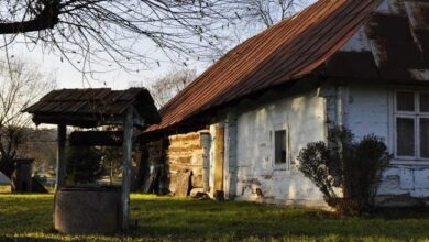 Stary wiejski domek z czerwonym dachem i studnią na tle drzew, obraz w stylu rustykalnym, prezentujący tradycyjną architekturę wiejską, idealny dla miłośników spokojnych, wiejskich krajobrazów.