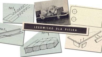 Kolorowe szkice i plany budowy legowiska dla psa, moduły i instrukcje, ilustracje projektów dla psów, podstawy konstrukcji, rysunki techniczne, kreatywne pomysły dla właścicieli psów, DIY dla psa.