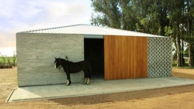 Nowe nowocześnie zaprojektowane stajnie dla koni w optymalnym standardzie, funkcjonalne i estetyczne rozwiązanie dla hodowców i miłośników koni.