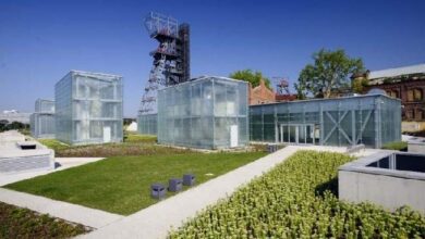 Nowa inteligentna szklarnia w parku przemysłowym, ekologiczne rozwiązania dla zrównoważonego rozwoju i innowacji w rolnictwie miejskim.