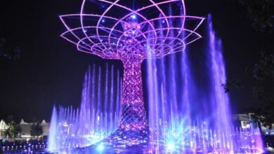 Nowa fontanna spektakularna w Parku Centralnym, podświetlana na fioletowo z efektownym świetlnym pokazem, idealna na nocne spacery i atrakcję dla turystów.
