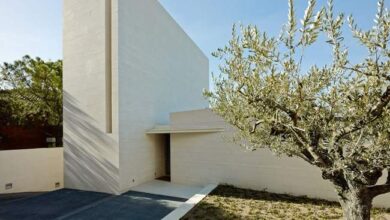 Spokojna, nowoczesna willa o minimalistycznej architekturze z białymi ścianami i dużym drzewem oliwnym na tle nieba.